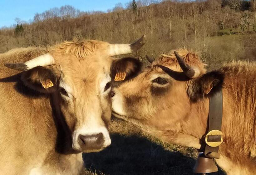 리조트 Residence Fleurs D Aubrac