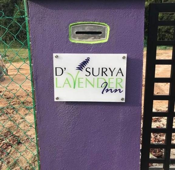فندق صغير D  Surya Lavender Inn