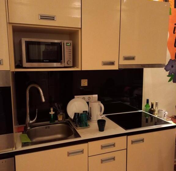 旅馆 Gb Apartments