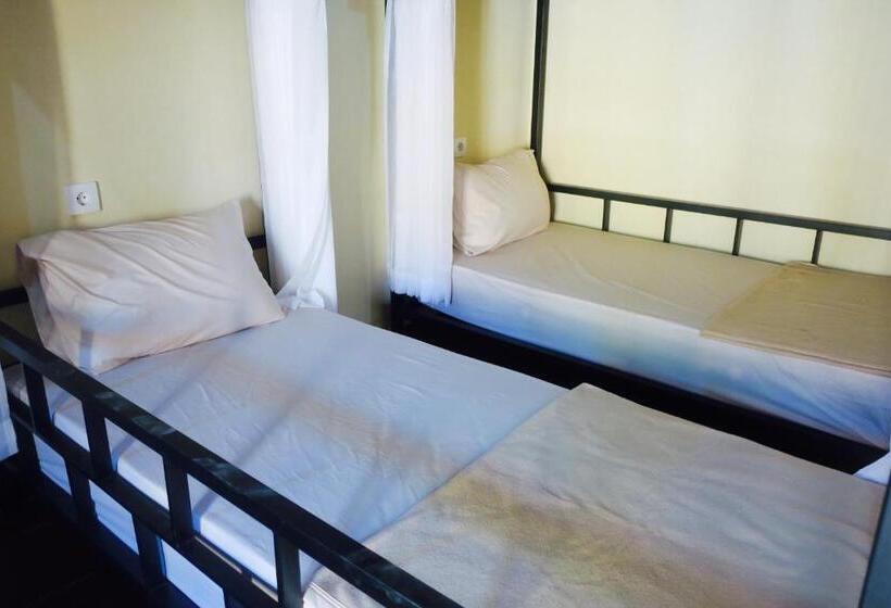 הוסטל Inn Between