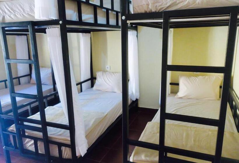 הוסטל Inn Between