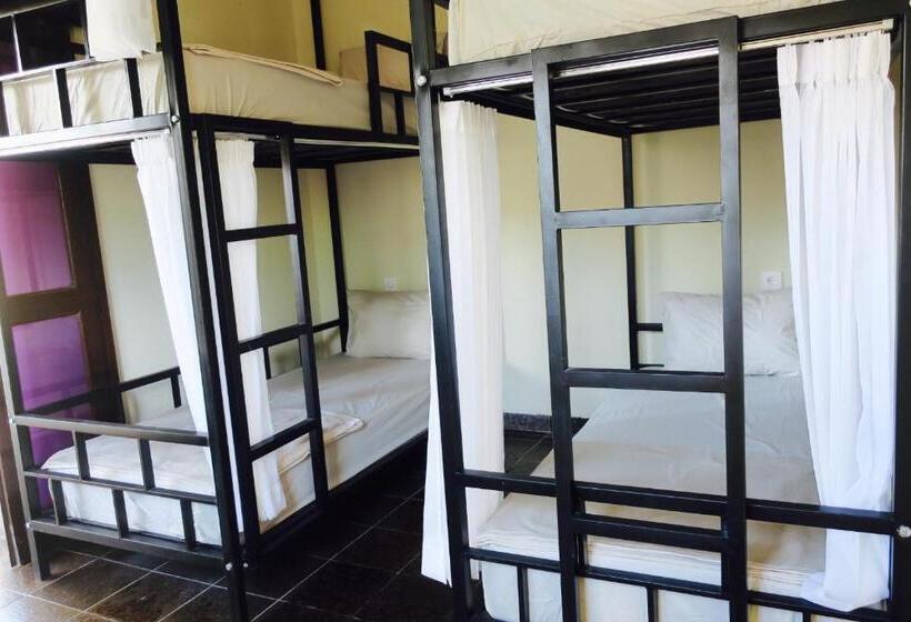 הוסטל Inn Between