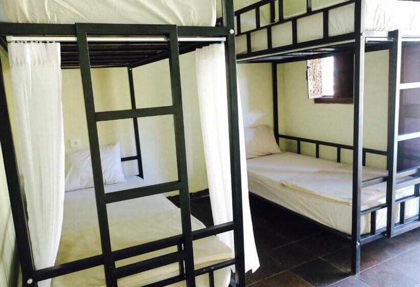 הוסטל Inn Between