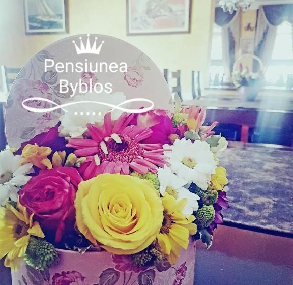 فندق صغير Pensiunea Byblos