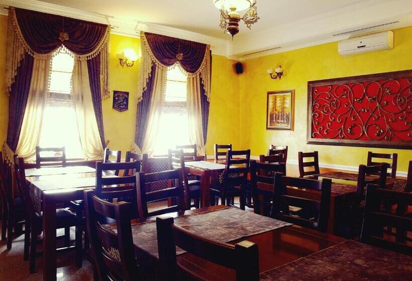 הוסטל Pensiunea Byblos