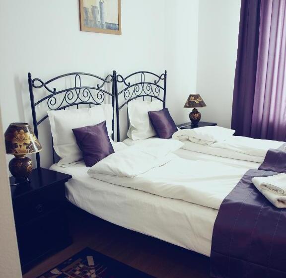 הוסטל Pensiunea Byblos