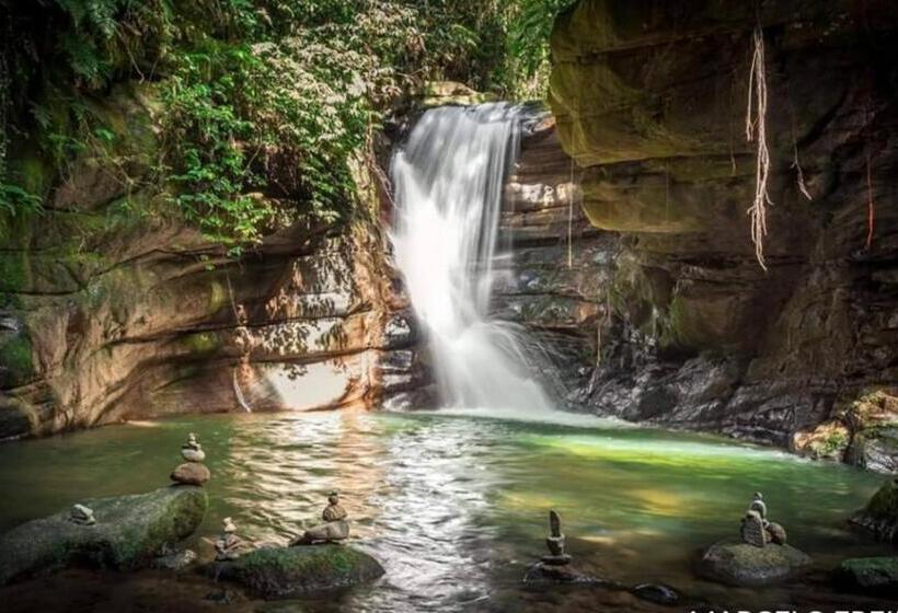 הוסטל Pousada Flor Da Manhã