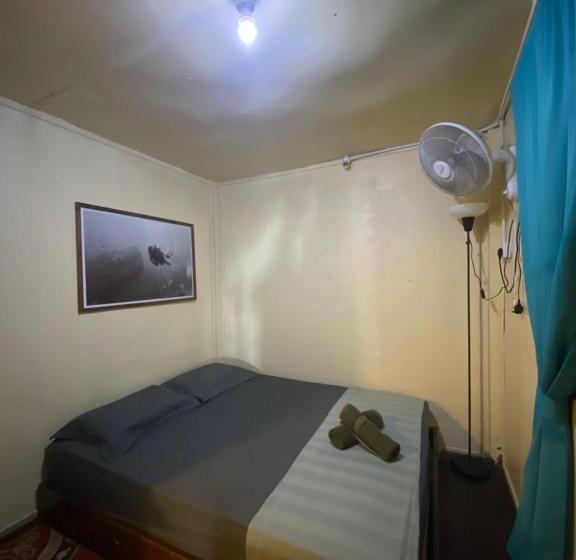 הוסטל Seahorse Diver Guesthouse