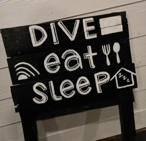 הוסטל Seahorse Diver Guesthouse