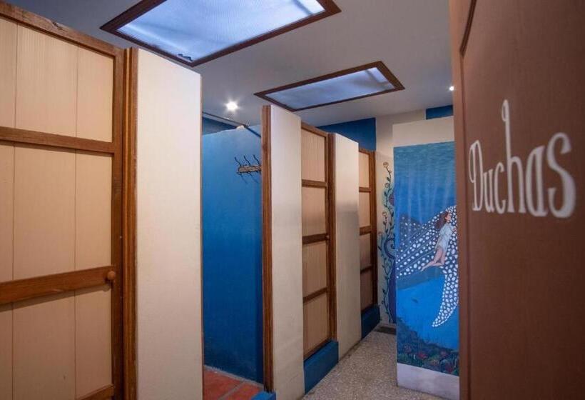 فندق صغير Straycat