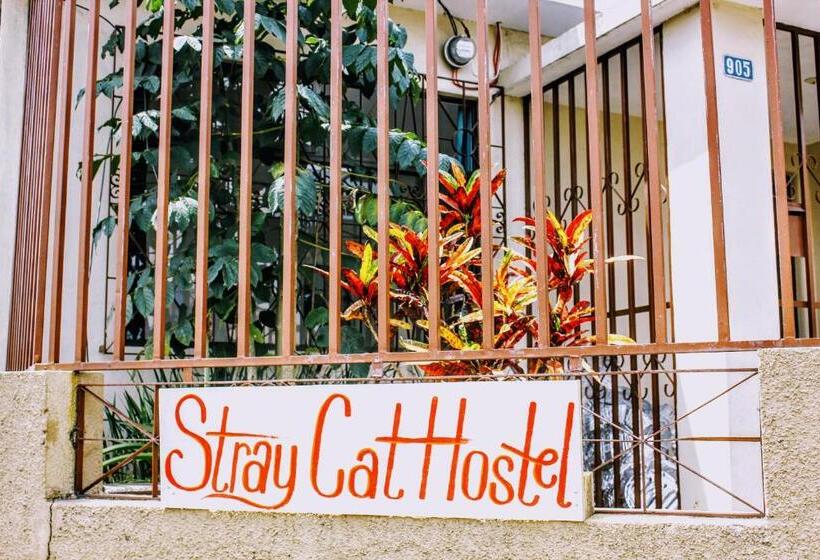 فندق صغير Straycat