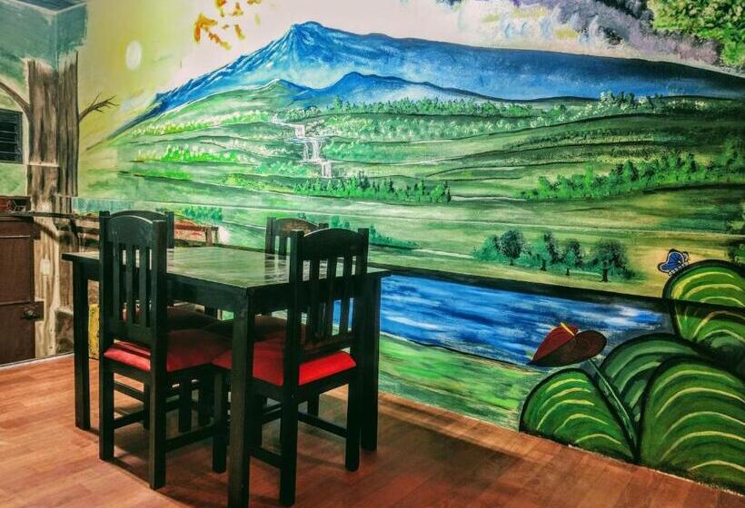 فندق صغير Straycat