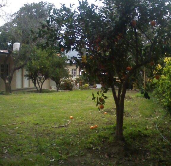 ユースホステル Terrazas Del Wayra