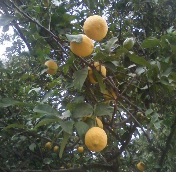 ユースホステル Terrazas Del Wayra