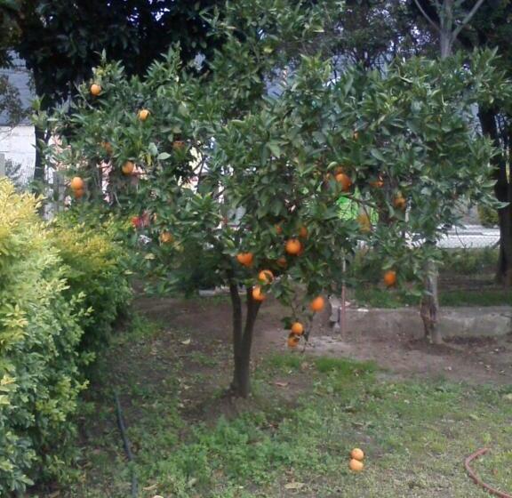 ユースホステル Terrazas Del Wayra