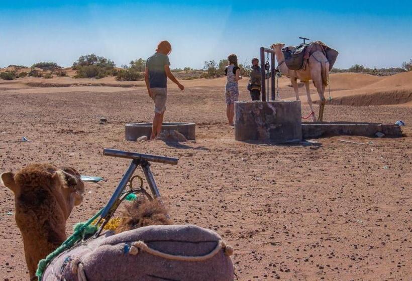 Authentic Riad & Activities Erg