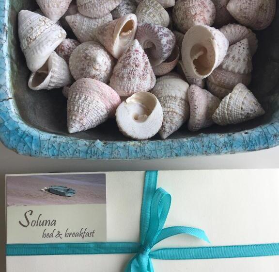 B&b Soluna