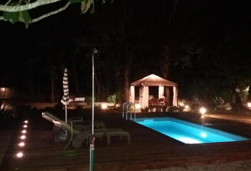 Bed and Breakfast La Mansardiere