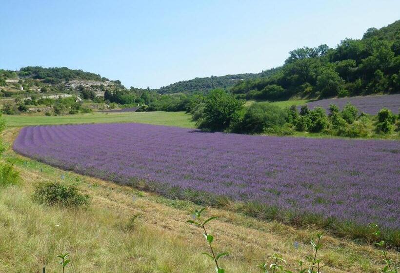 Bed and Breakfast La Mordorée
