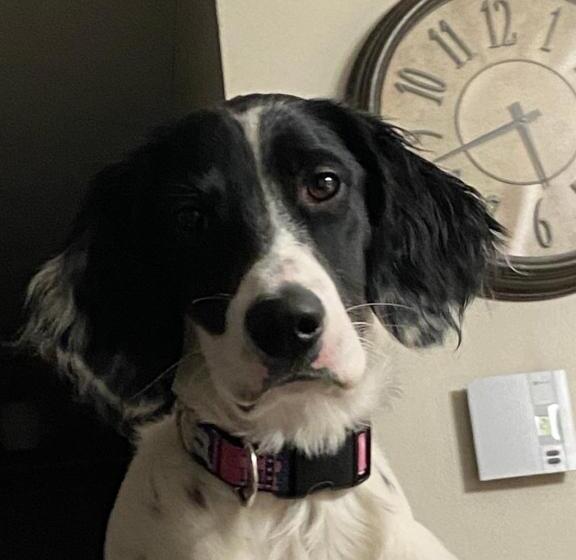 צימר Le Gîte Du Pêcheur