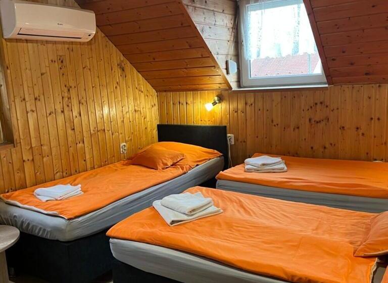 Bed and Breakfast Lenzl S Panzió