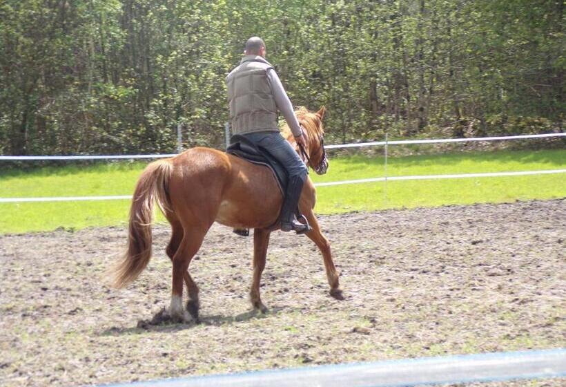 مبيت وإفطار Les Chambres Du Vau Profond