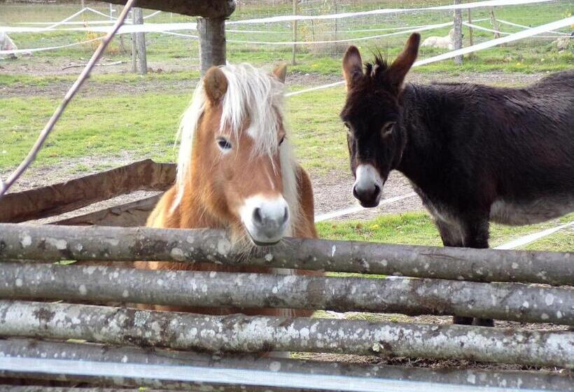 مبيت وإفطار Les Chambres Du Vau Profond