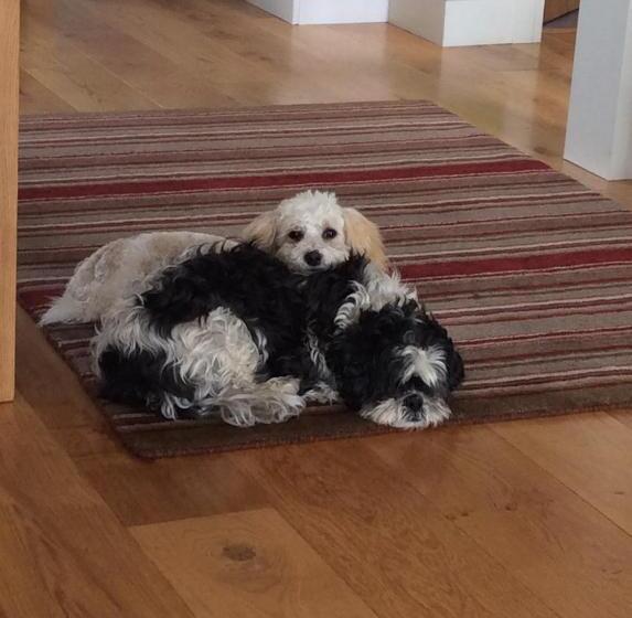 צימר Luachra Lodge