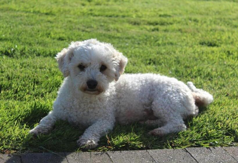 צימר Luachra Lodge