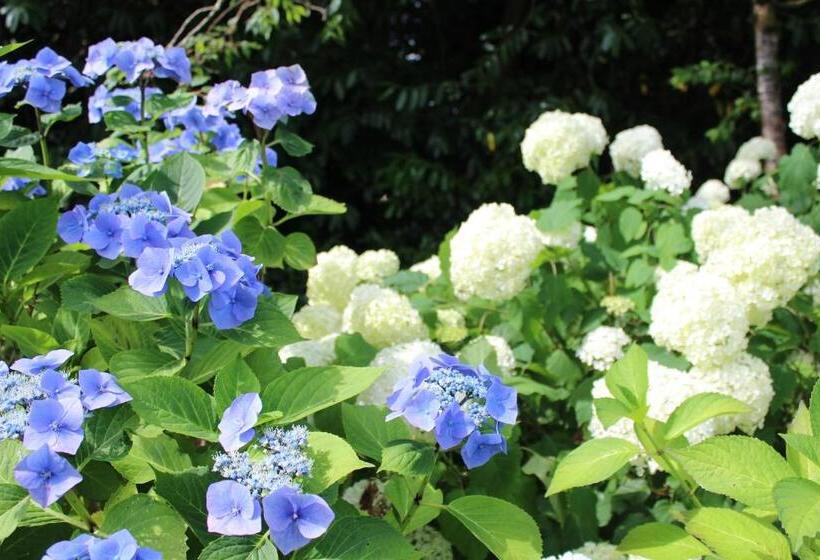 צימר Luachra Lodge