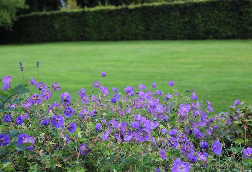 Bed and Breakfast Pitchounette