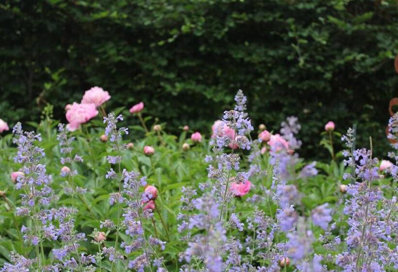 Bed and Breakfast Pitchounette