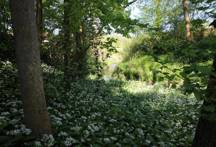 Bed and Breakfast Pitchounette