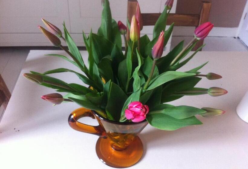 مبيت وإفطار Stone Street