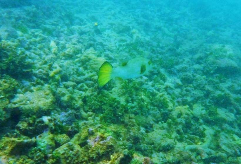 민박 Tropical Paradise