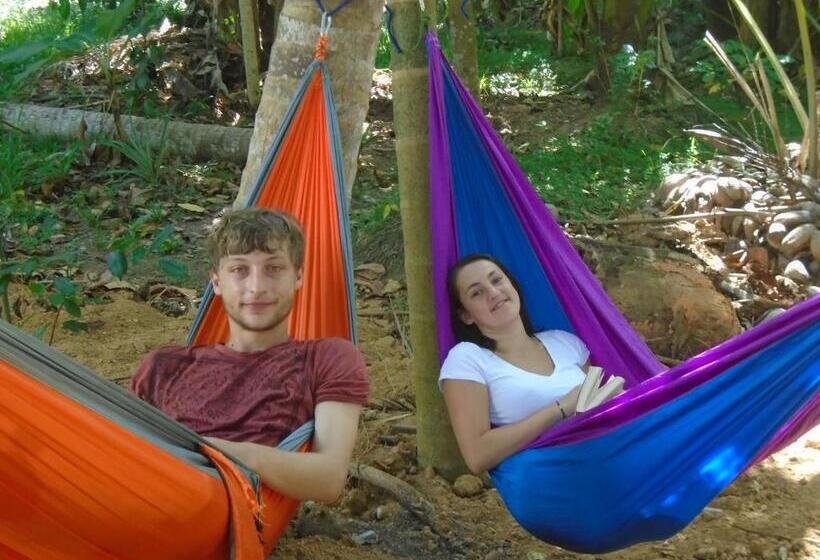 민박 Tropical Paradise