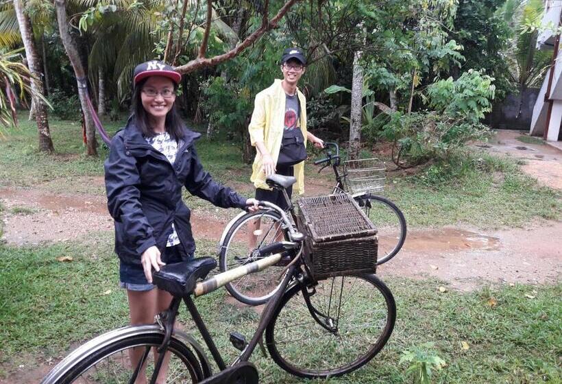 민박 Tropical Paradise