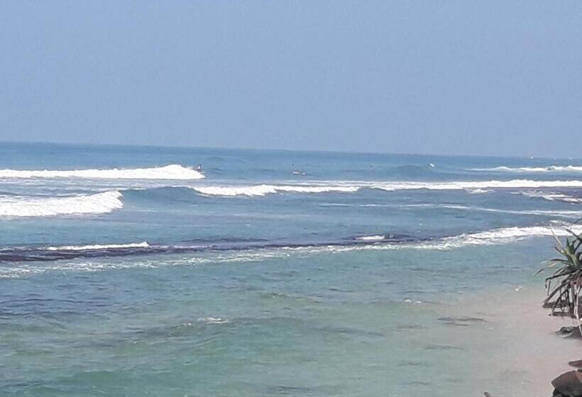 민박 Tropical Paradise