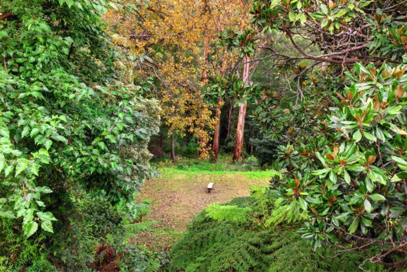 민박 Wildwood Lodge