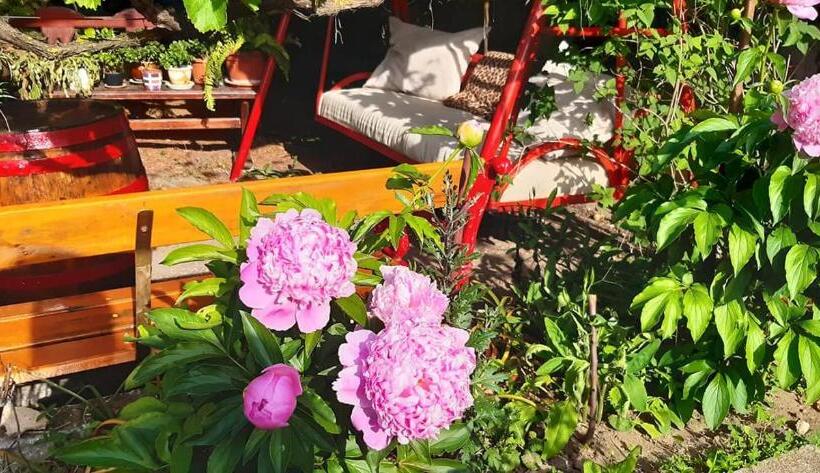 Family Hotel California   Varna