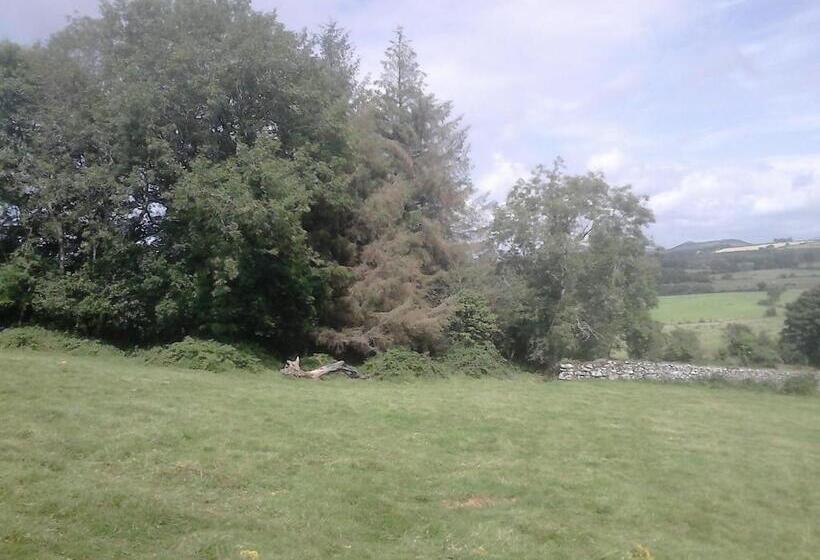 Green Adventure Ecohostel