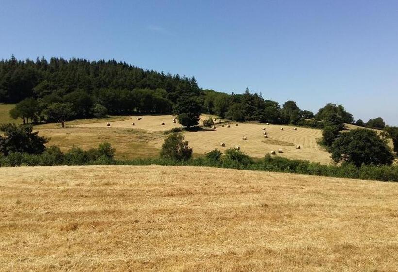 Green Adventure Ecohostel