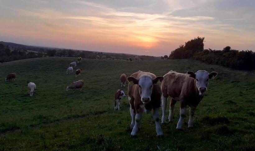 Green Adventure Ecohostel