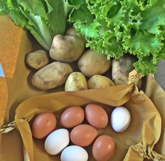 호텔 Agriturismo Bicocchi