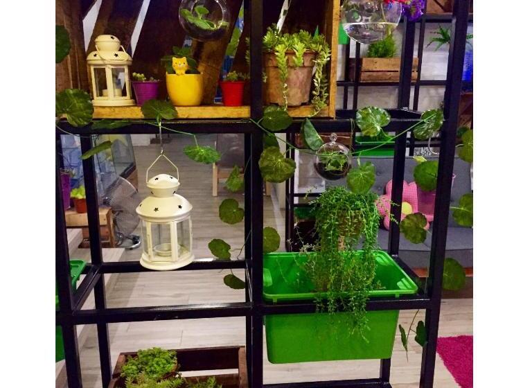 Отель Flora Plus