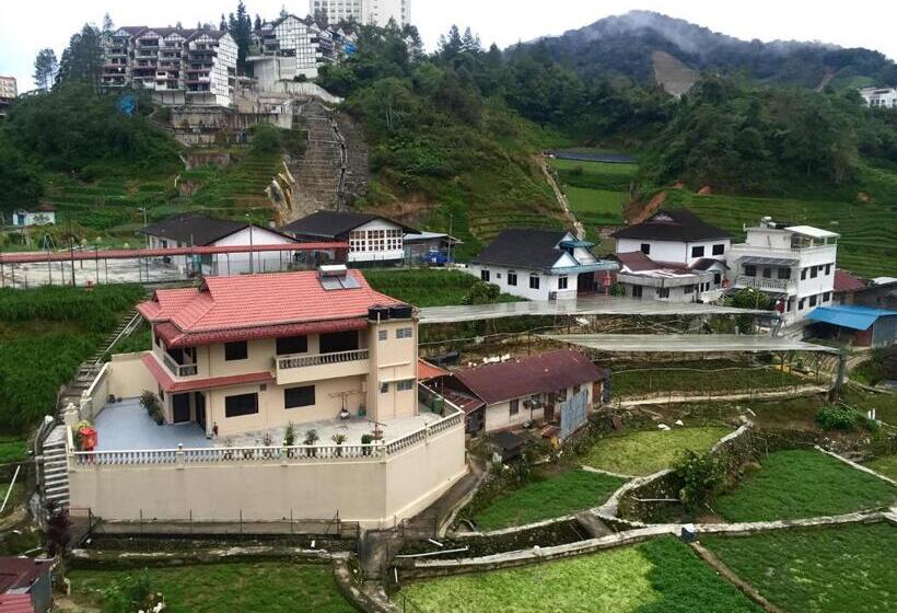 Отель Flora Plus