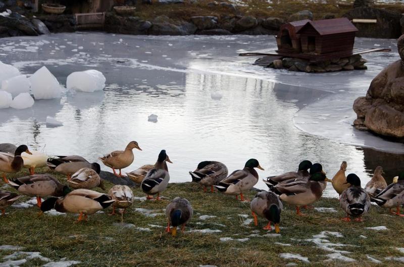בית מלון כפרי Grand Usseglio