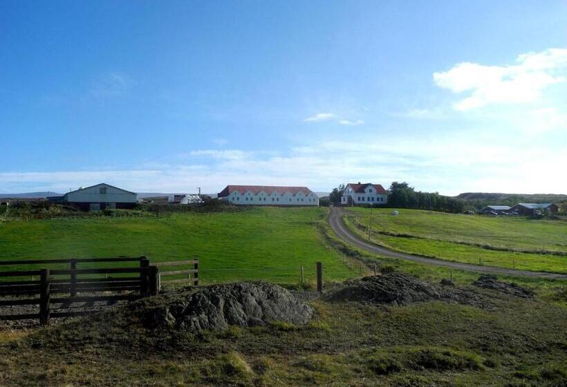 هتل Icelandhorsetours Helluland