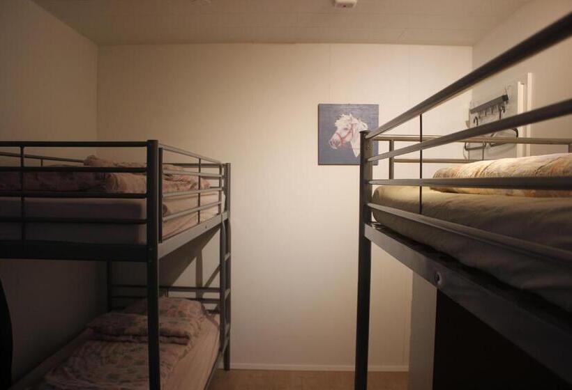 هتل Icelandhorsetours Helluland