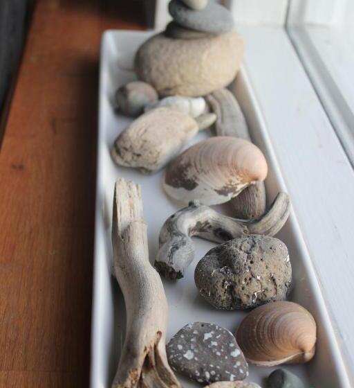 هتل Icelandhorsetours Helluland